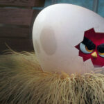 Angry Birds – Il film: un successo che conquista il grande schermo