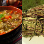 Eventi del fine settimana a Roma: sagre e tradizioni culinarie dal 2 al 4 maggio