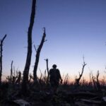 Festival di Cannes 2025: una giornata dedicata all’Ucraina con tre proiezioni significative