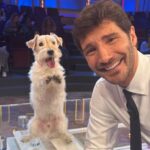 Gennarino, il cagnolino di “Affari tuoi”: storia e curiosità dal backstage