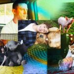I film sugli animali: una panoramica sui generi e le storie che emozionano