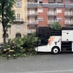 Incidente a Torino: autobus con studenti si schianta contro un albero