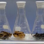 La crisi della riproducibilità nella scienza: un problema che coinvolge tutti i settori