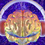 Neuroscienze e umanistiche: un confronto tra due approcci agli studi scientifici