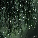 Previsioni meteo: aria fredda e umida in arrivo, instabilità tra mercoledì e giovedì