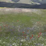Previsioni meteo in Umbria: instabilità primaverile e ritorno della pioggia