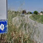 Segnalazione urgente sulla Strada provinciale 20: erba alta e rischio incidenti