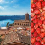 Nemi, cent’anni di Sagra delle Fragole: il 1-2 giugno la festa si fa laboratorio di sostenibilità