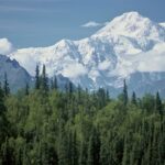 Allerta meteo in Alaska: per la prima volta un avviso per caldo eccessivo