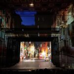 Danzica ospita il gran finale del progetto Butterfly: un’opera per la sostenibilità ambientale