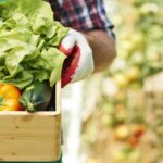 Incentivi per l’agricoltura nel 2025: opportunità e scadenze per le aziende del settore primario