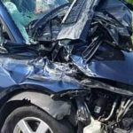 Incidente stradale sull’A4: due cani e due gatti in fuga dopo uno scontro tra auto