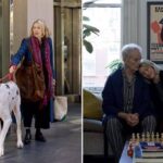 L’amico fedele: il film di Scott McGehee e David Siegel arriva nelle sale italiane
