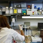 La Pontificia Accademia delle Scienze difende la libertà scientifica in un contesto di crescente censura
