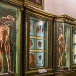 La scienza nei luoghi d’Italia: un viaggio tra storia e innovazione