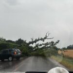 Maltempo a Ravenna: 110 millimetri di pioggia in 12 ore e danni da vento