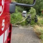 Maltempo nelle Marche: 80 interventi dei Vigili del fuoco per alberi e strutture danneggiate