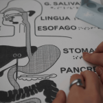 Presentazione del progetto “Scienza senza barriere”: accessibilità nei laboratori scientifici di Bologna