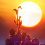 Previsioni meteo: ondata di calore in Italia, temperature fino a 40 gradi per fine giugno 2025