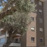 Urban District: il nuovo progetto residenziale sostenibile a Roma