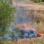 Emergenza incendi: i vigili del fuoco mobilitati in tutta la città e provincia