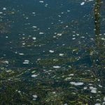Emergenza inquinamento: un corso d’acqua su otto in Italia colpito da scarichi incontrollati