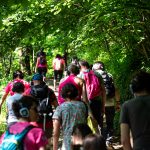 Giardino delle Esperidi Festival 2025: un viaggio tra natura e mitologia nei luoghi del Monte Brianza