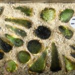 I vetri da impatto: un viaggio tra crateri e formazioni naturali sulla Terra