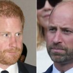 La frattura tra William e Harry: un rischio per la monarchia britannica