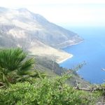 La nuova Messa per la custodia della Creazione: un passo significativo a dieci anni dalla Laudato Si’