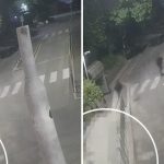 Minorenni arrestati per rapina aggravata a Gallarate: vittima con fratture al naso e mandibola