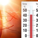 Ondata di caldo africano in arrivo: temperature fino a 43°C tra domenica e inizio settimana