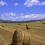Tragico incidente agricolo in provincia di Alessandria: muore Davide Arditi, 43 anni