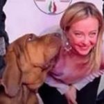 Uccisione del cane-eroe Bruno a Taranto: il cordoglio della premier e la denuncia di Brambilla